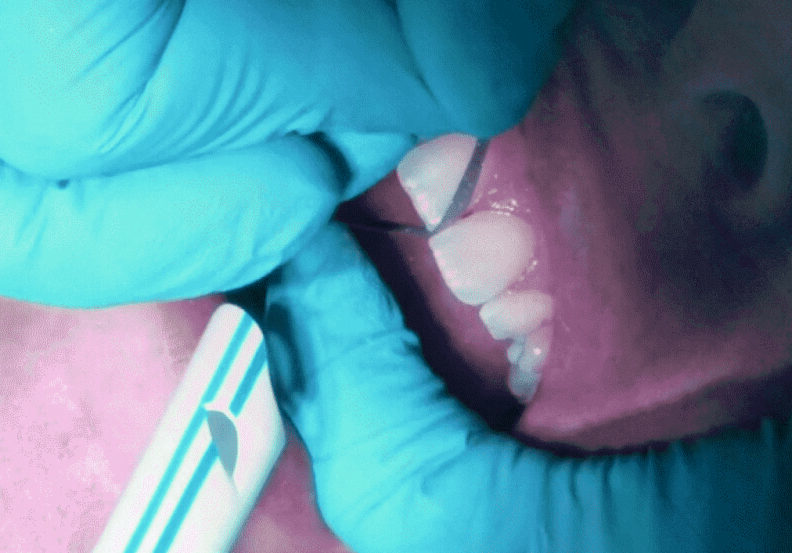 Dr Nina Shaffie