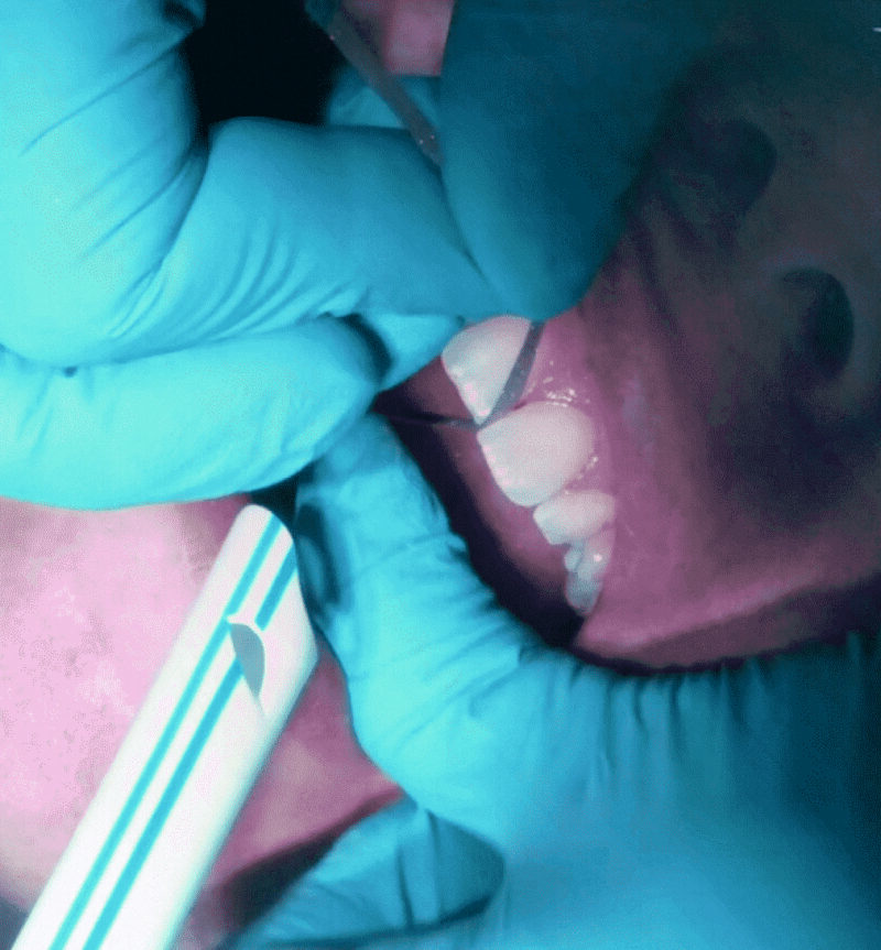 Dr Nina Shaffie